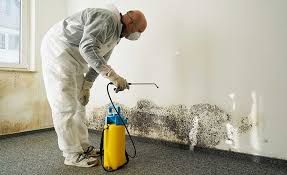 Stratford, OK Mold Removal & Remediation Company